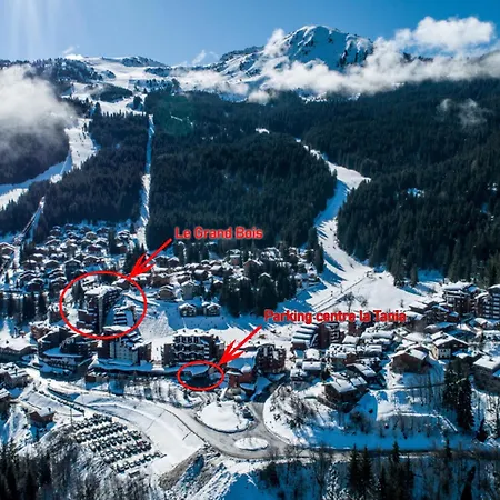 Skis Aux Pieds, 2 Pièces, 4 Pers, La Tania, Résidence Le Grand Bois - Fr-1-182a-23 Appartement